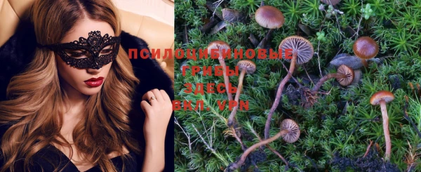 PSILOCYBIN Арсеньев