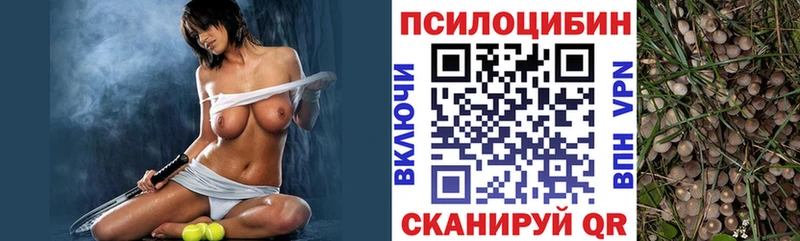 Псилоцибиновые грибы мицелий Губаха